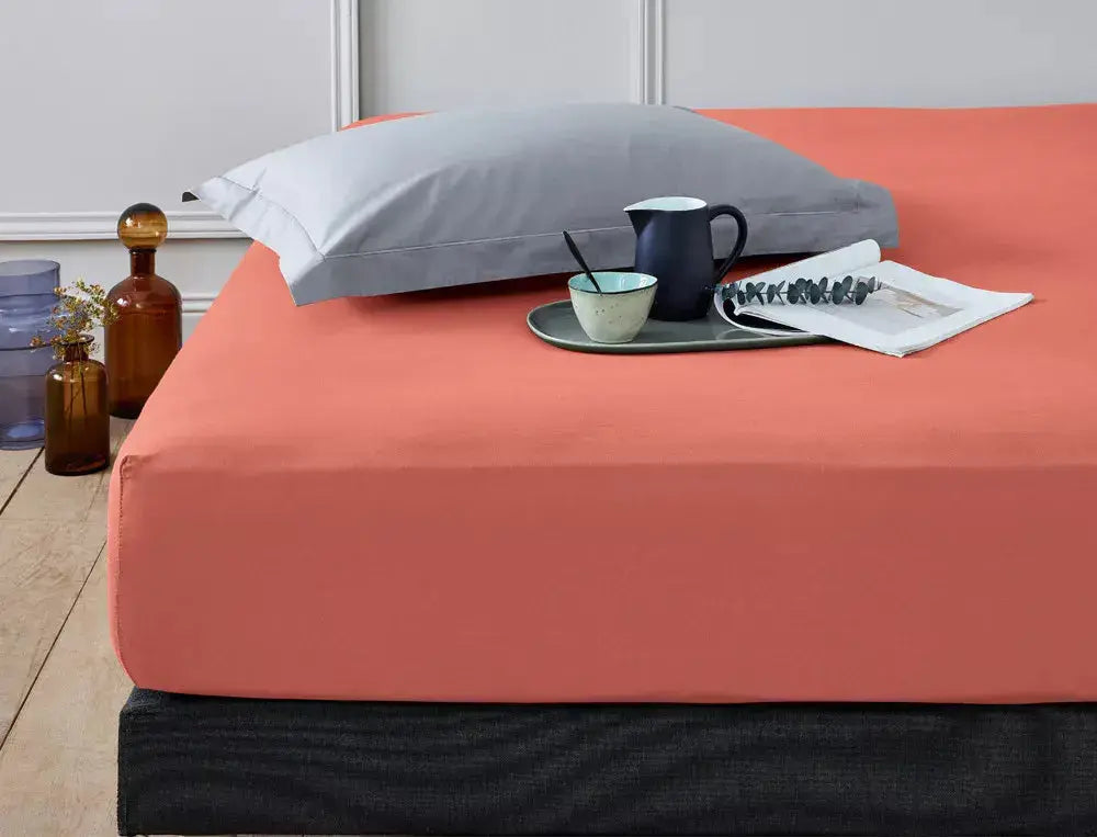 Drap housse Trendsoft - Format King size ( 2 places ) - Trendhomedz